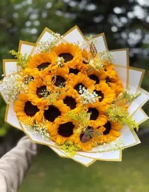 Paz de primavera