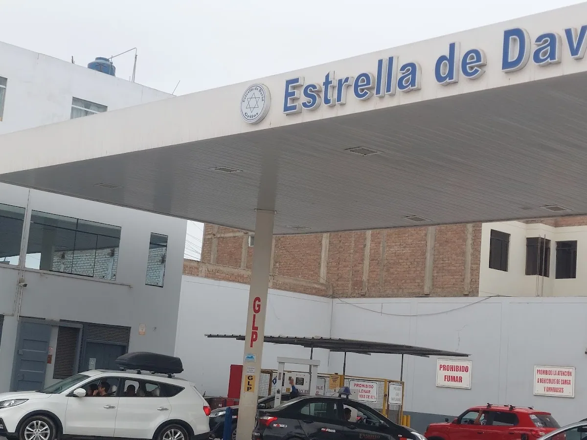 Grifo Estrella de David