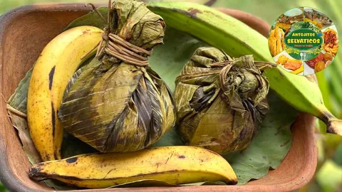 Antojitos Selvaticos