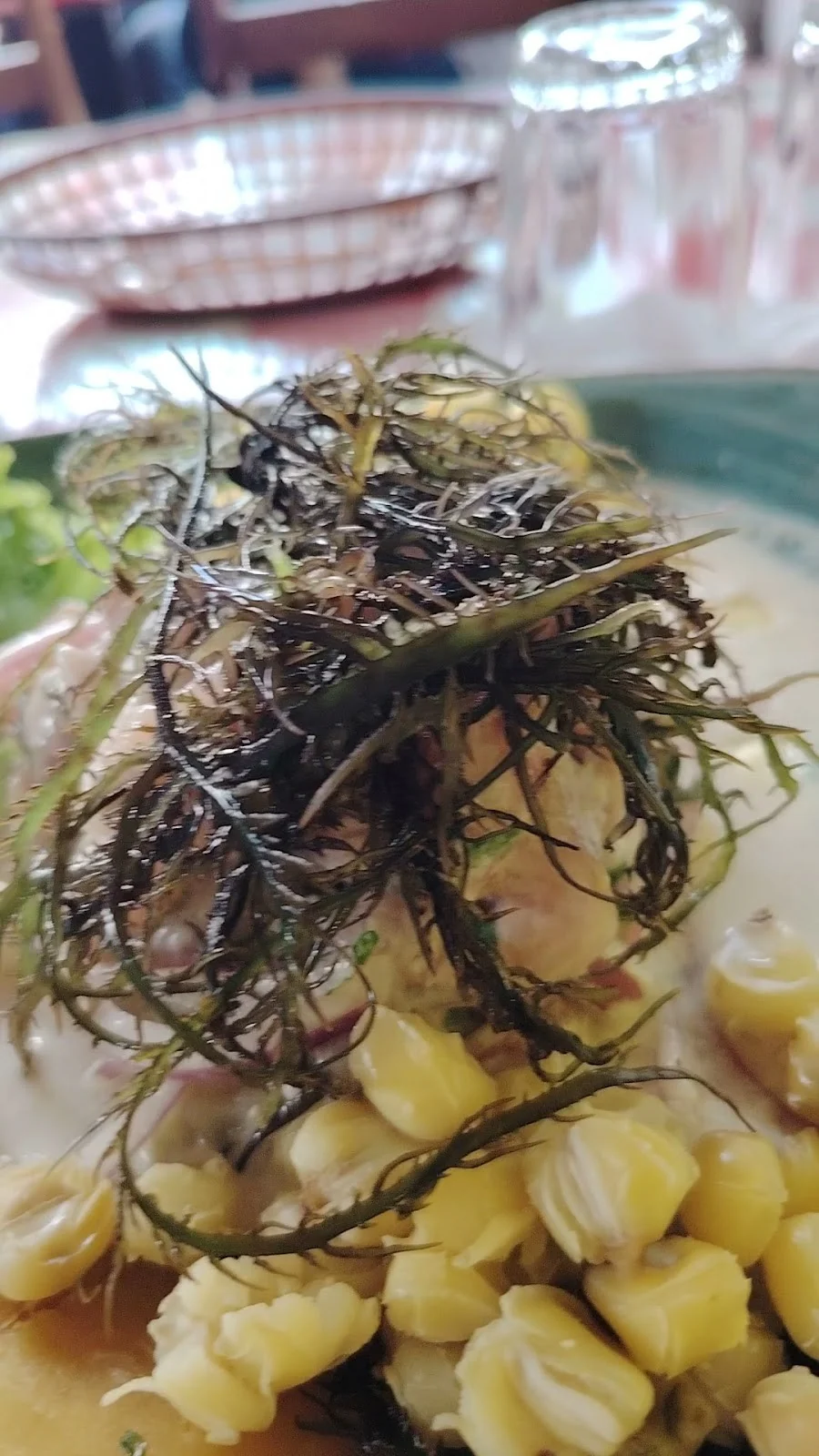 Ceviche de conchas negras