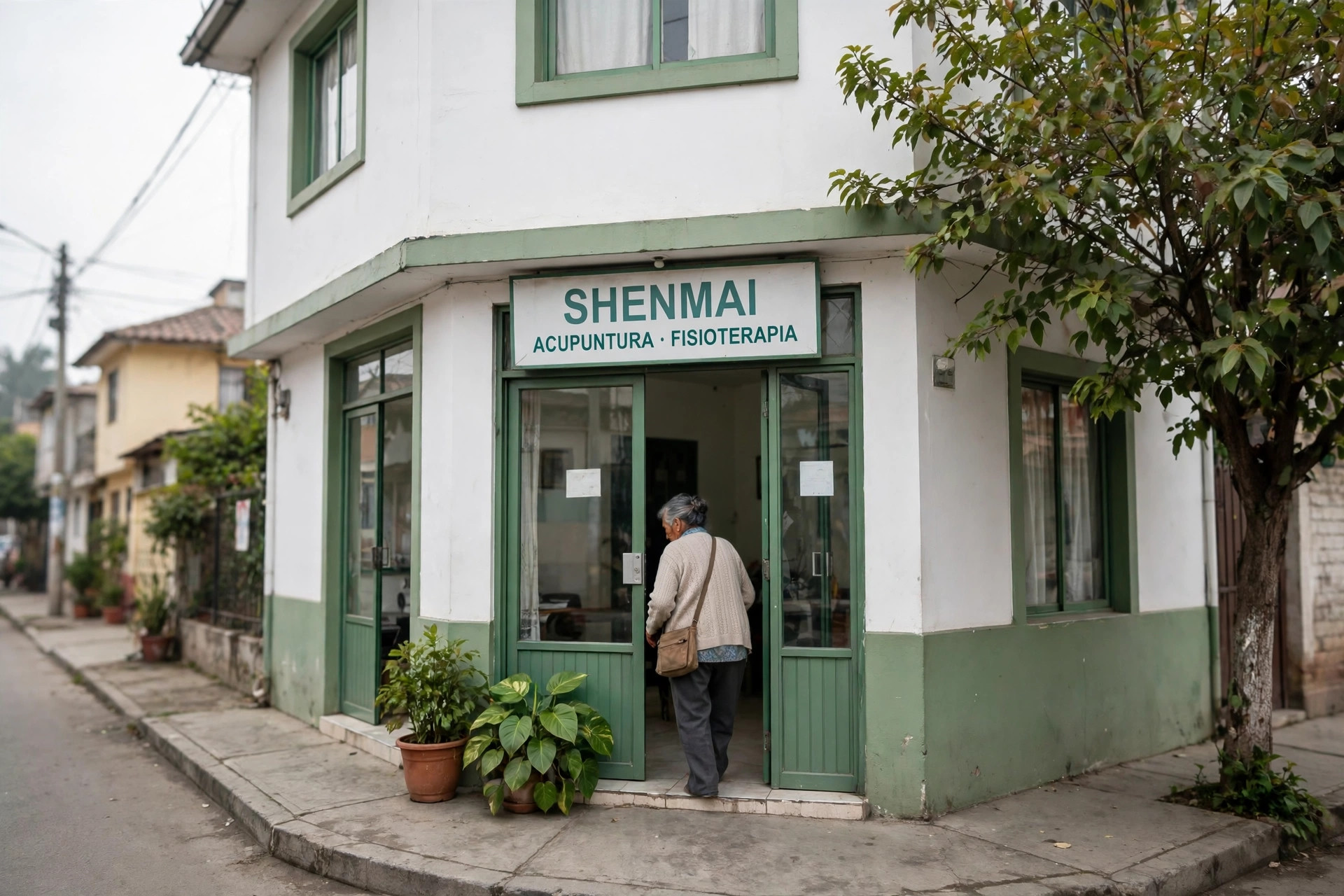 CENTRO DE ACUPUNTURA Y MOXIBUSTION SHENMAI